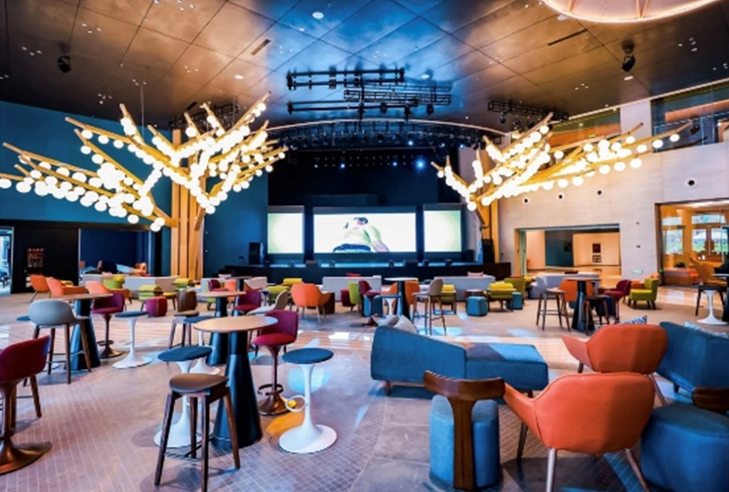 ���Ƶ�����Ҿ�